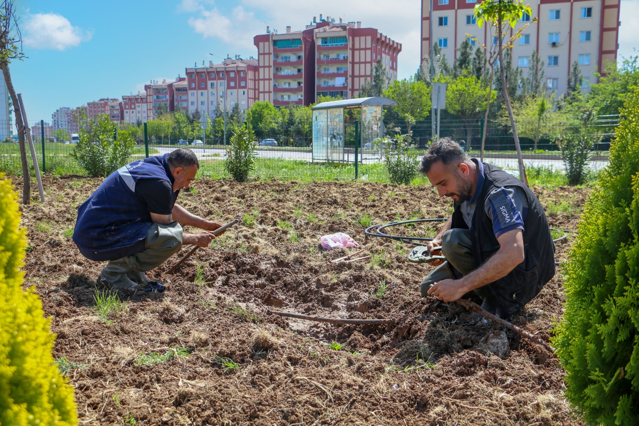 Edebiyat Parkı’nda Yenileme Çalışmaları Başladı