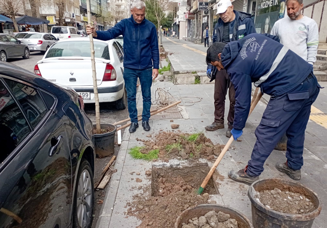 Yenişehir’de Ağaçlandırma Çalışmaları Sürüyor