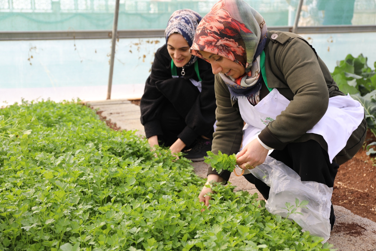 Nev Bahçe’de Kadınlara Yönelik Aromatik Kış Çayı Atölyesi