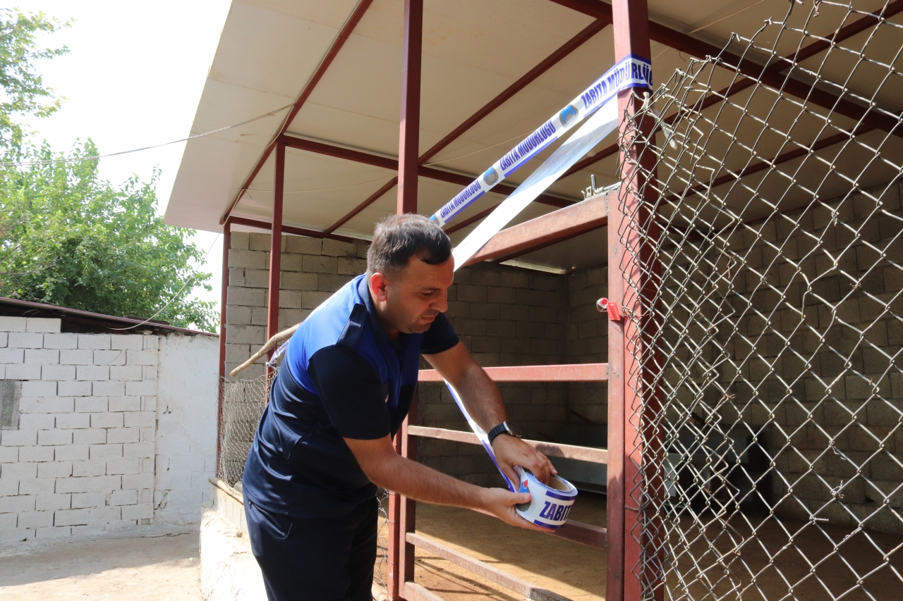 Yenişehir’de Ruhsatsız Hayvan Satışı ve Kesimi Yapan Yerler Mühürlendi