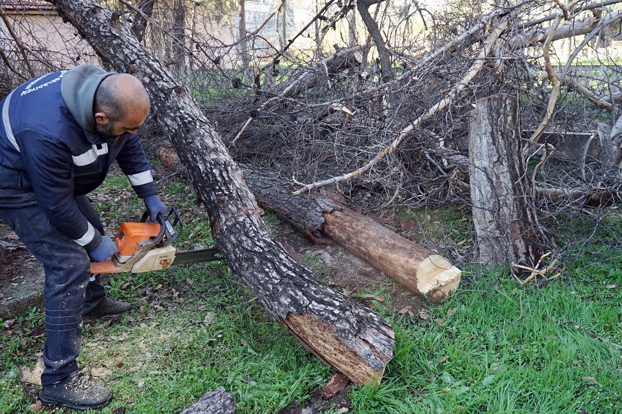  Budama Çalışmaları Devam Ediyor