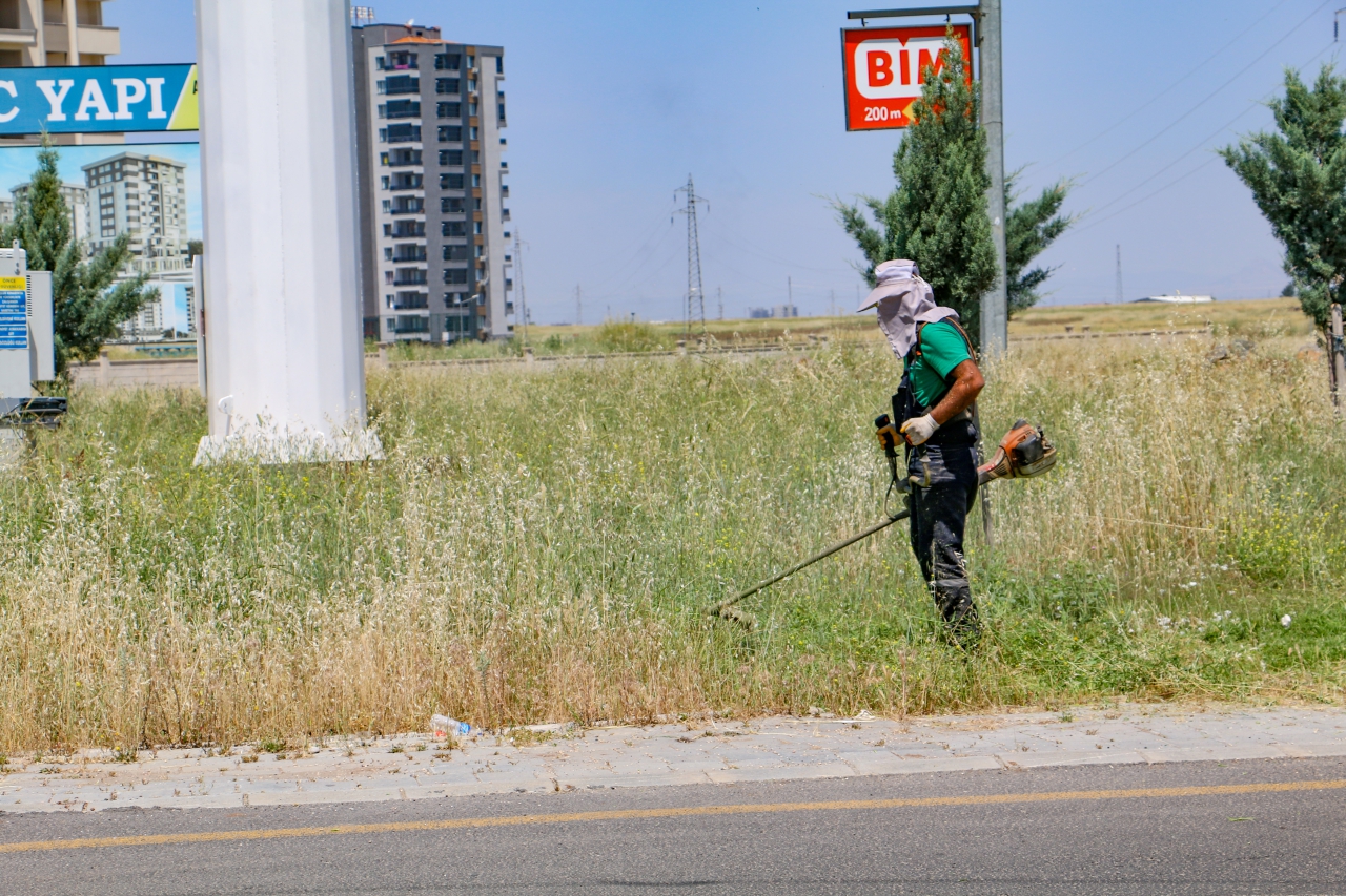 Üçkuyular’da Yol Kenarı ve Refüjlerde Ot Biçme Çalışması