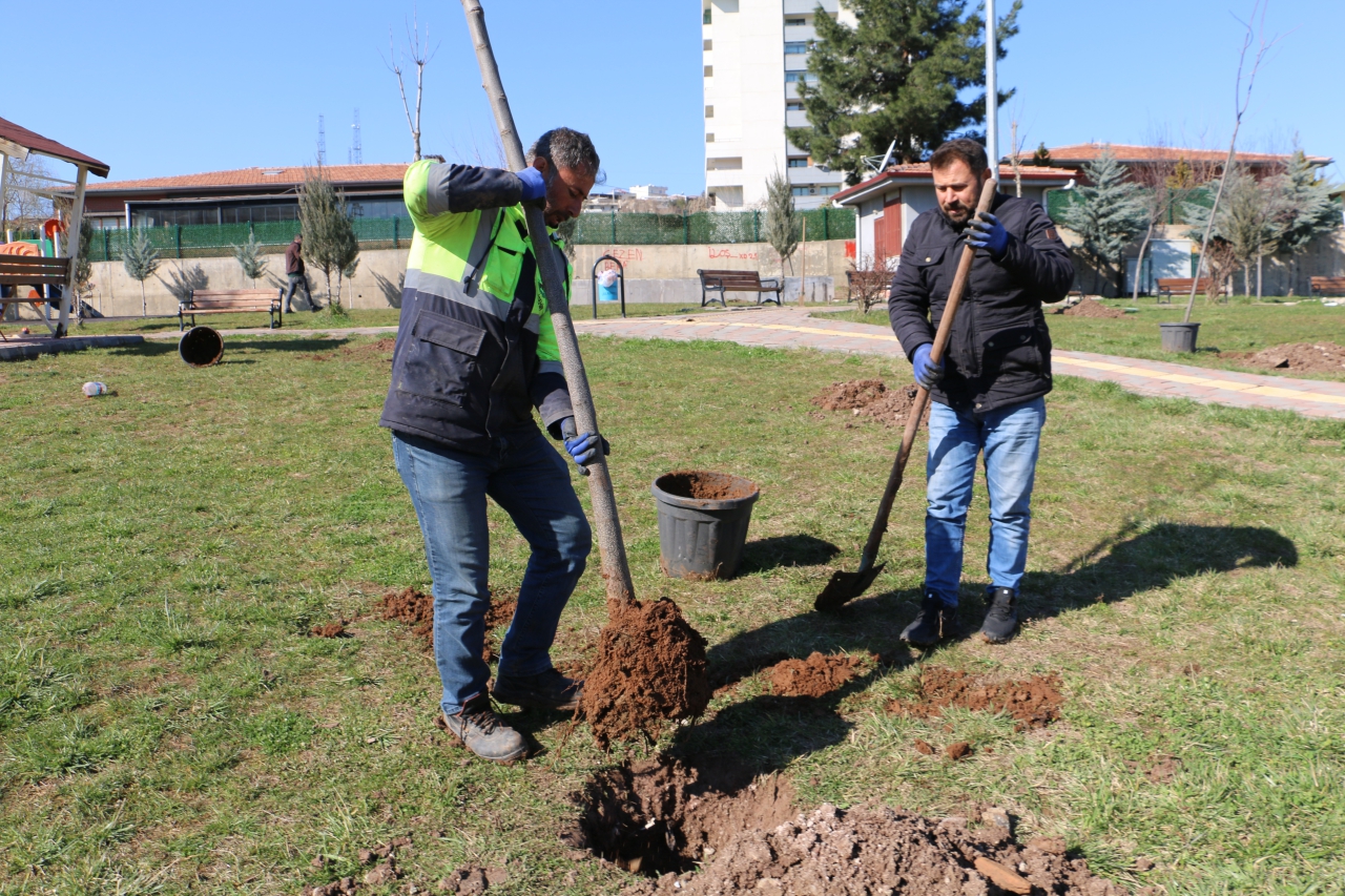 İlçemizde Yeşil Alanlar Güçleniyor
