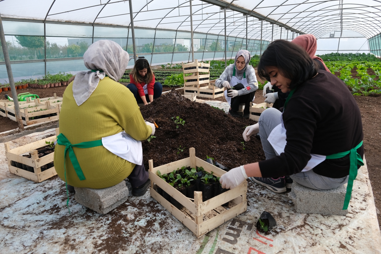 Nev Bahçe’de Kadınlara Kışlık Sebze Yetiştiriciliği Eğitimi