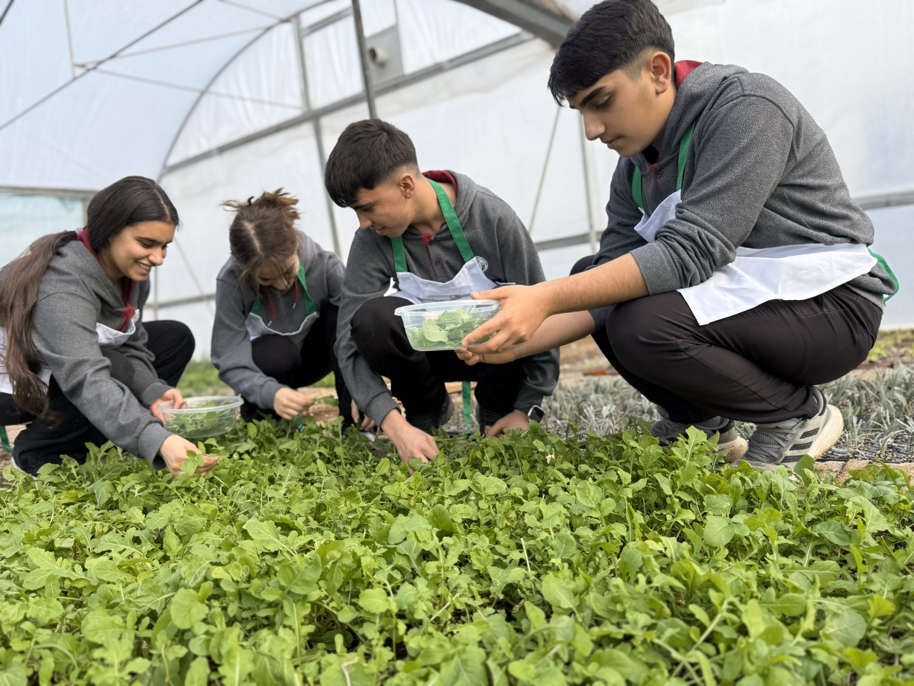 Nev Bahçe’de Öğrencilerle Uygulamalı Sebze Hasadı Atölyesi Yaptık