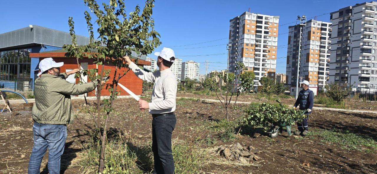 Nev Bahçe'de Budama Sezonu