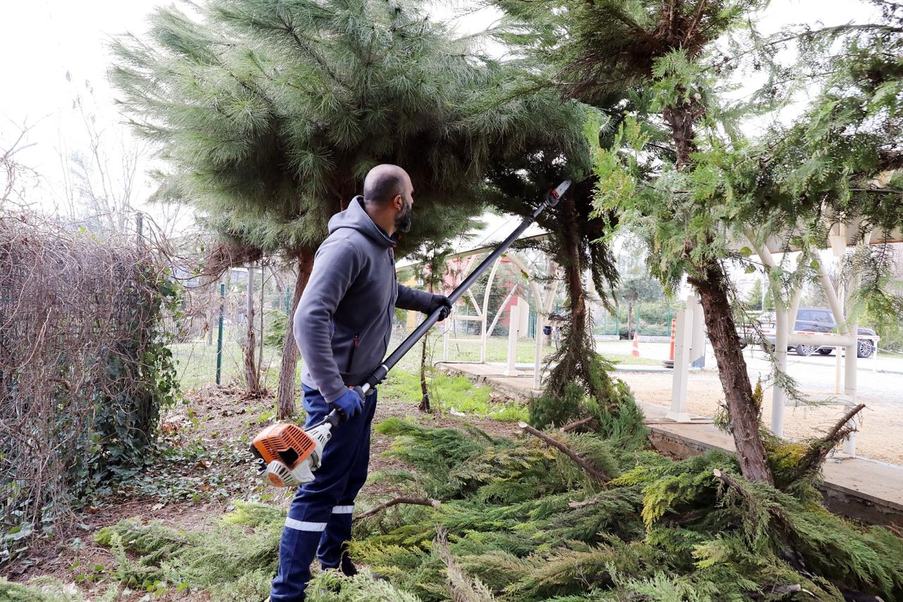 Yenişehir’de Ağaçlar Bahara Hazırlanıyor