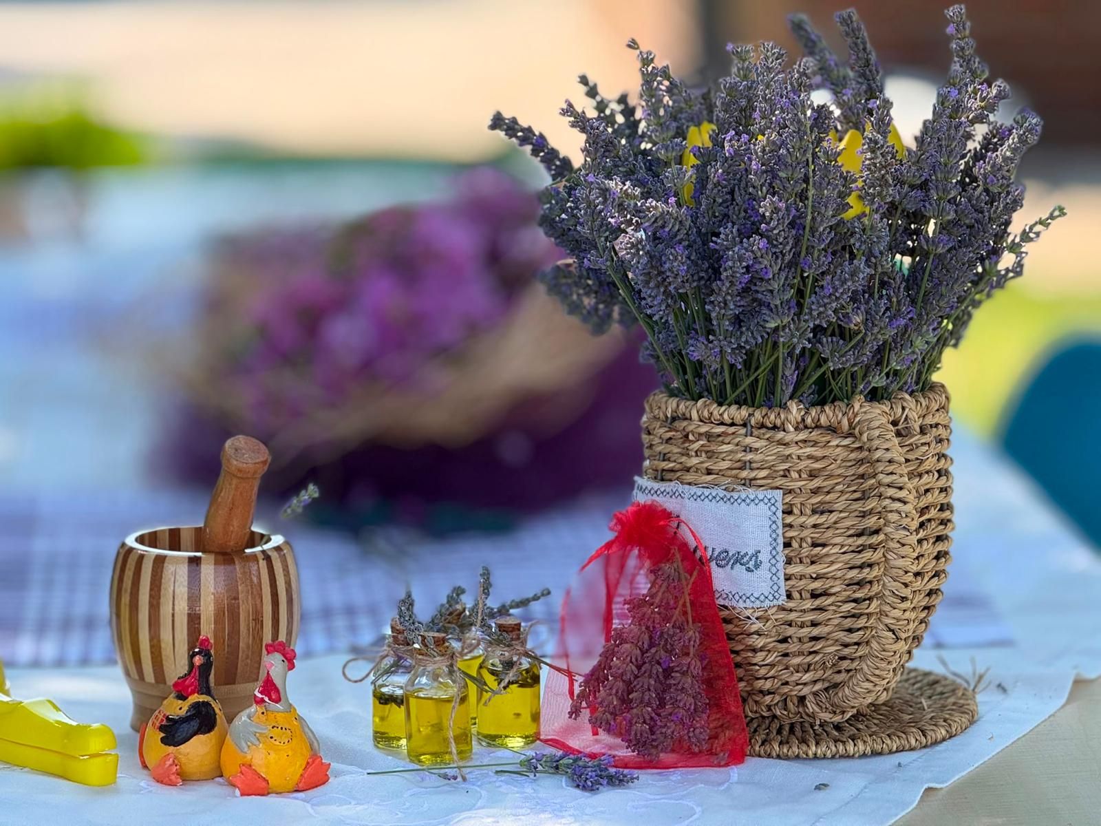 Nev Bahçe Parkı’nda Lavanta Hasadı Gerçekleştirildi