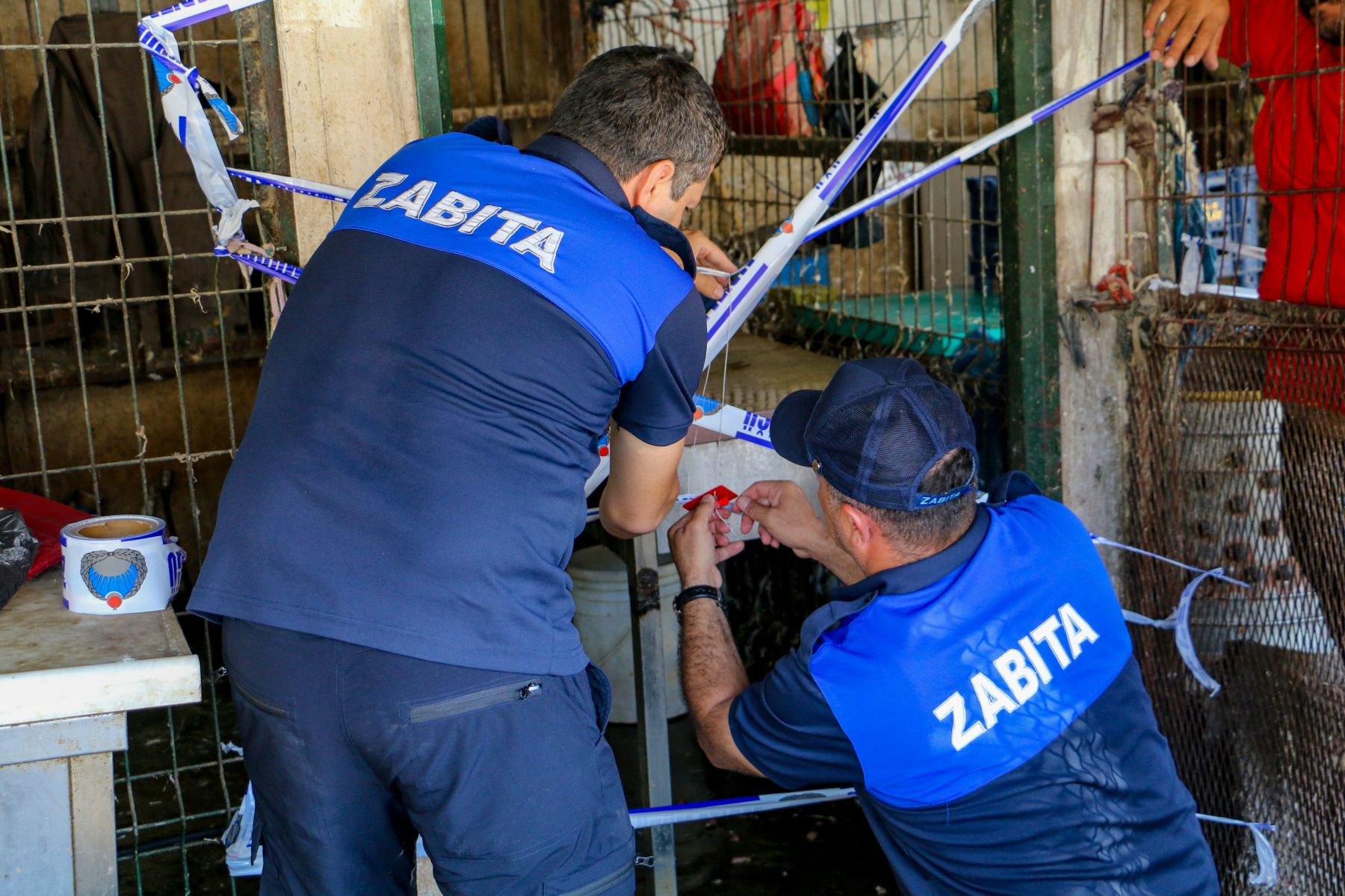 Eski Hal’deki 17 Kanatlı Hayvan Satış Yeri ve Kesimhane Mühürlendi