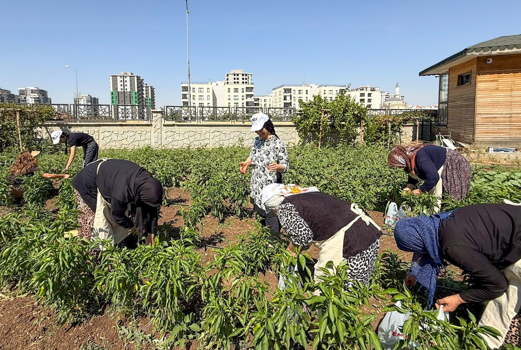 Cumhuriyet Mahallesi’nden Kadınlar Binevş'te Buluştu