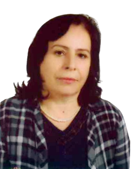 HALİSE BATGİ